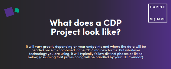 What does a CDP Project look like?